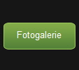 Fotogalerie